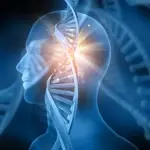 Hormonal balance support