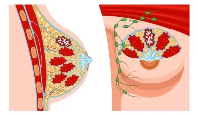 Enhances firmness and lift