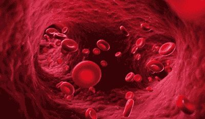 Blood Flow Expansion - Blood vessel icon