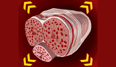 Chamber Expansion - Muscle icon