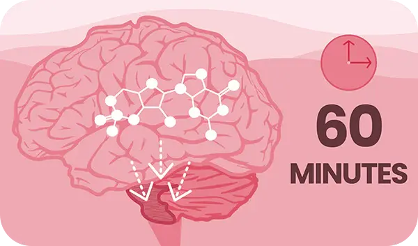 Wait Up To 1 Hour - Clock icon