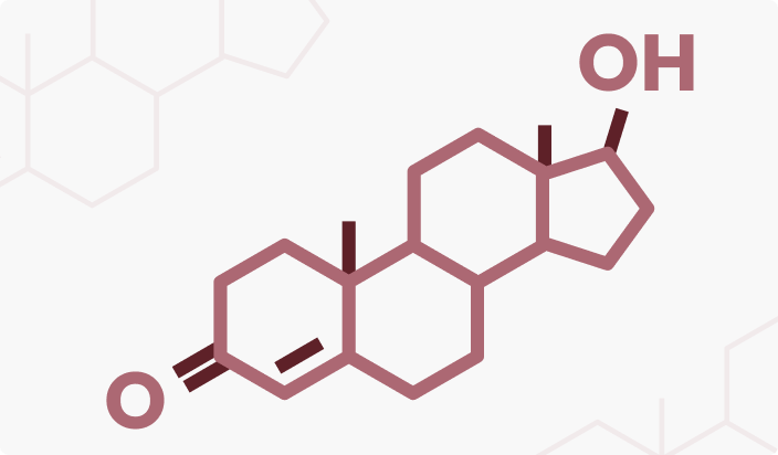 Increases Energy & Recovery